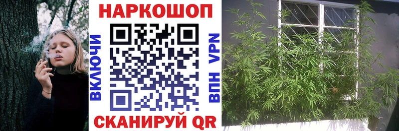 A-PVP Боготол