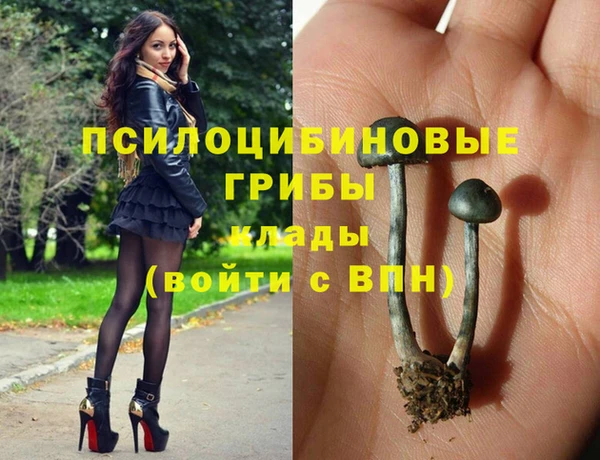 герыч Зерноград