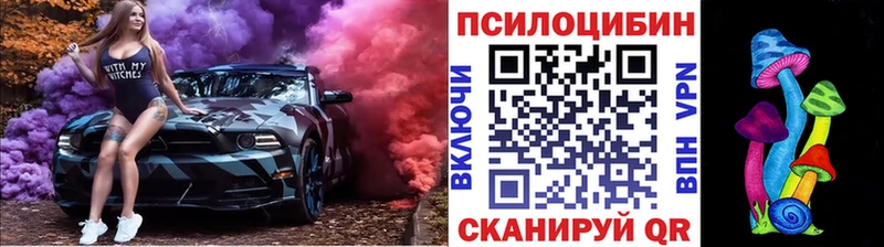 Псилоцибиновые грибы Magic Shrooms  Купить закладки  Боготол 